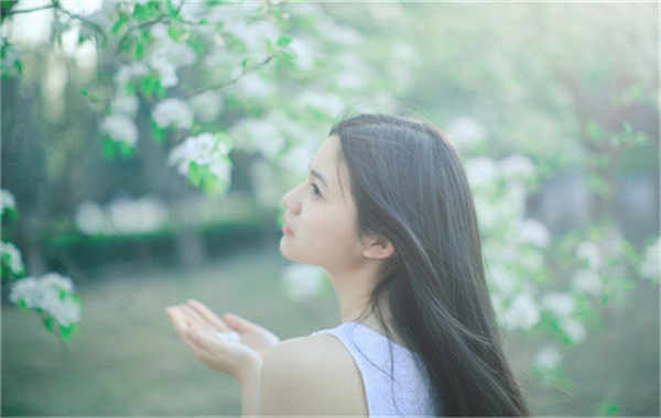 松桃验血查男女几周可以验(验血查男女结果图)